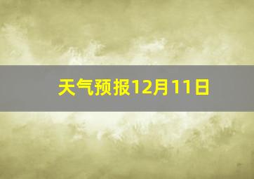 天气预报12月11日