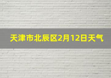 天津市北辰区2月12日天气