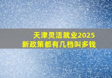 天津灵活就业2025新政策都有几档叫多钱