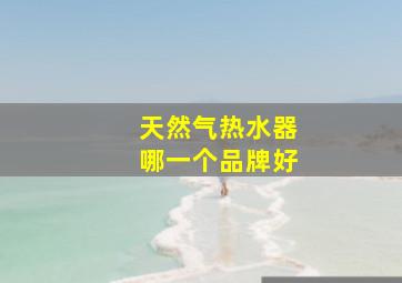 天然气热水器哪一个品牌好