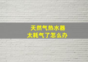 天然气热水器太耗气了怎么办