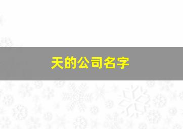 天的公司名字