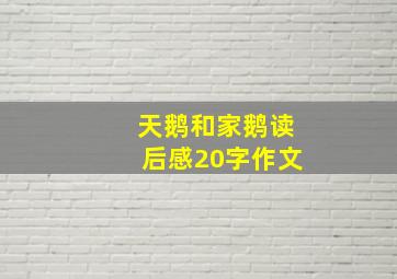 天鹅和家鹅读后感20字作文