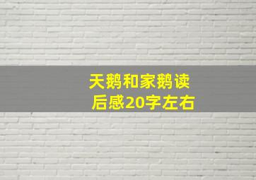 天鹅和家鹅读后感20字左右