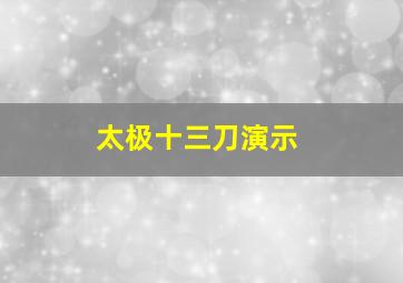 太极十三刀演示