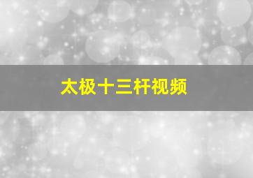 太极十三杆视频