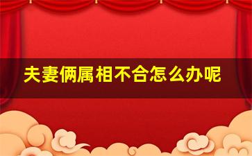 夫妻俩属相不合怎么办呢