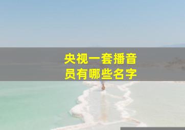 央视一套播音员有哪些名字