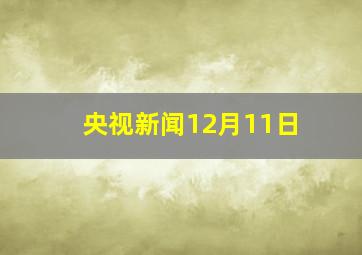 央视新闻12月11日