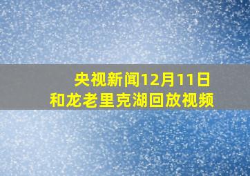 央视新闻12月11日和龙老里克湖回放视频