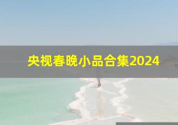 央视春晚小品合集2024