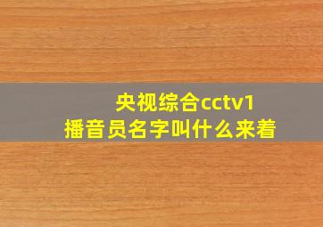 央视综合cctv1播音员名字叫什么来着