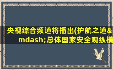 央视综合频道将播出(护航之道—总体国家安全观纵横)