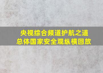 央视综合频道护航之道总体国家安全观纵横回放