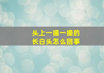 头上一撮一撮的长白头怎么回事