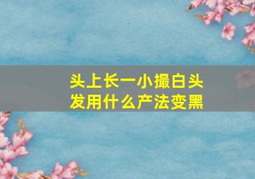 头上长一小撮白头发用什么产法变黑