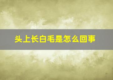 头上长白毛是怎么回事