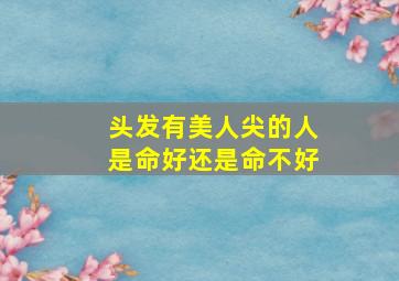 头发有美人尖的人是命好还是命不好