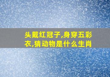 头戴红冠子,身穿五彩衣,猜动物是什么生肖