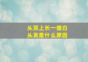 头顶上长一撮白头发是什么原因