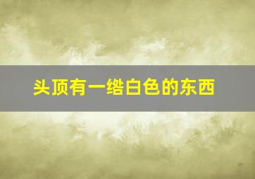 头顶有一绺白色的东西