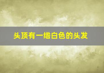 头顶有一绺白色的头发