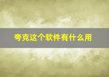 夸克这个软件有什么用