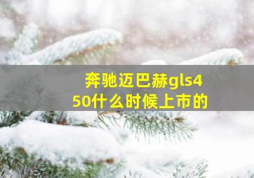 奔驰迈巴赫gls450什么时候上市的