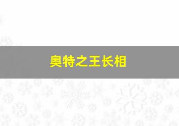 奥特之王长相