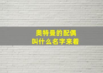 奥特曼的配偶叫什么名字来着