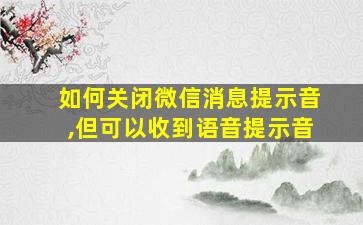 如何关闭微信消息提示音,但可以收到语音提示音