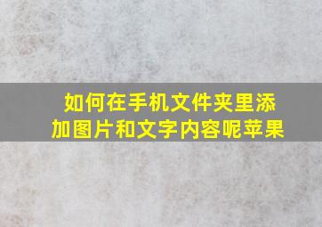 如何在手机文件夹里添加图片和文字内容呢苹果