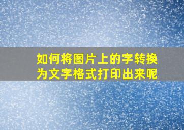 如何将图片上的字转换为文字格式打印出来呢