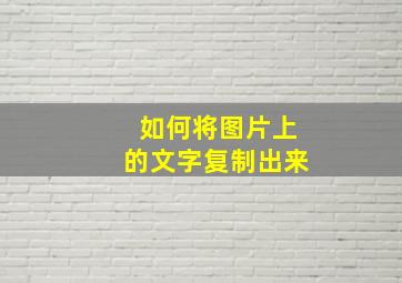 如何将图片上的文字复制出来