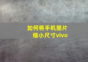 如何将手机图片缩小尺寸vivo