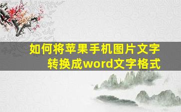 如何将苹果手机图片文字转换成word文字格式