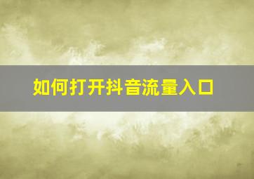 如何打开抖音流量入口