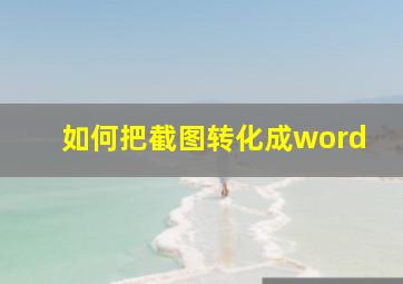 如何把截图转化成word