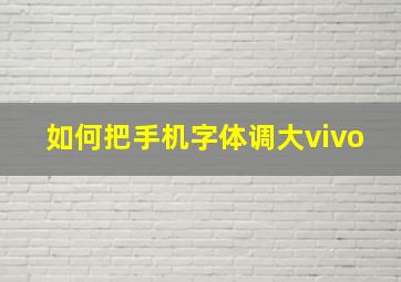 如何把手机字体调大vivo