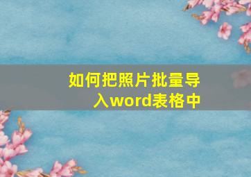 如何把照片批量导入word表格中