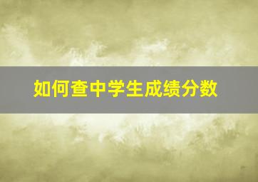 如何查中学生成绩分数