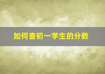 如何查初一学生的分数