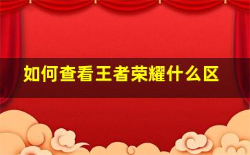 如何查看王者荣耀什么区