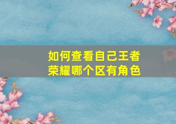 如何查看自己王者荣耀哪个区有角色