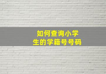 如何查询小学生的学籍号号码