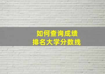 如何查询成绩排名大学分数线