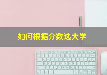 如何根据分数选大学