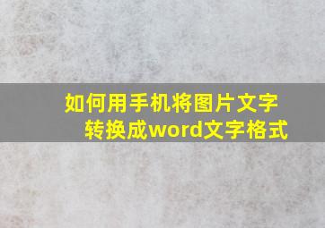 如何用手机将图片文字转换成word文字格式