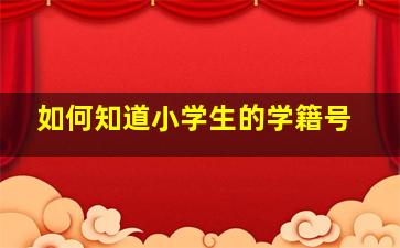 如何知道小学生的学籍号