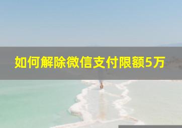 如何解除微信支付限额5万